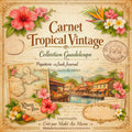 Kit Junk Journal Vintage Guadeloupe, 16 Papiers Numériques 12x12, Scrapbooking Tropical, Papeterie Artisanale, Téléchargement Instantané ZIP