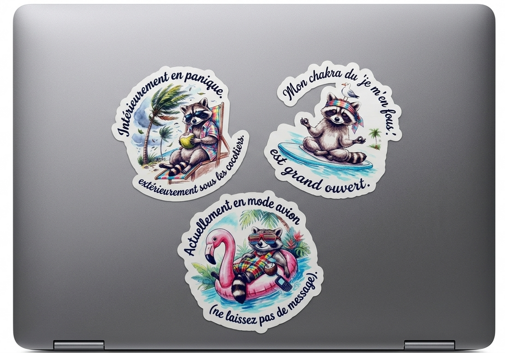 Autocollant Raton Laveur Sarcastique| Sticker Imperméable| Déco Humour PC & Gourde| Touche Madras| Les Aventures de Mr Tchip le Racoon