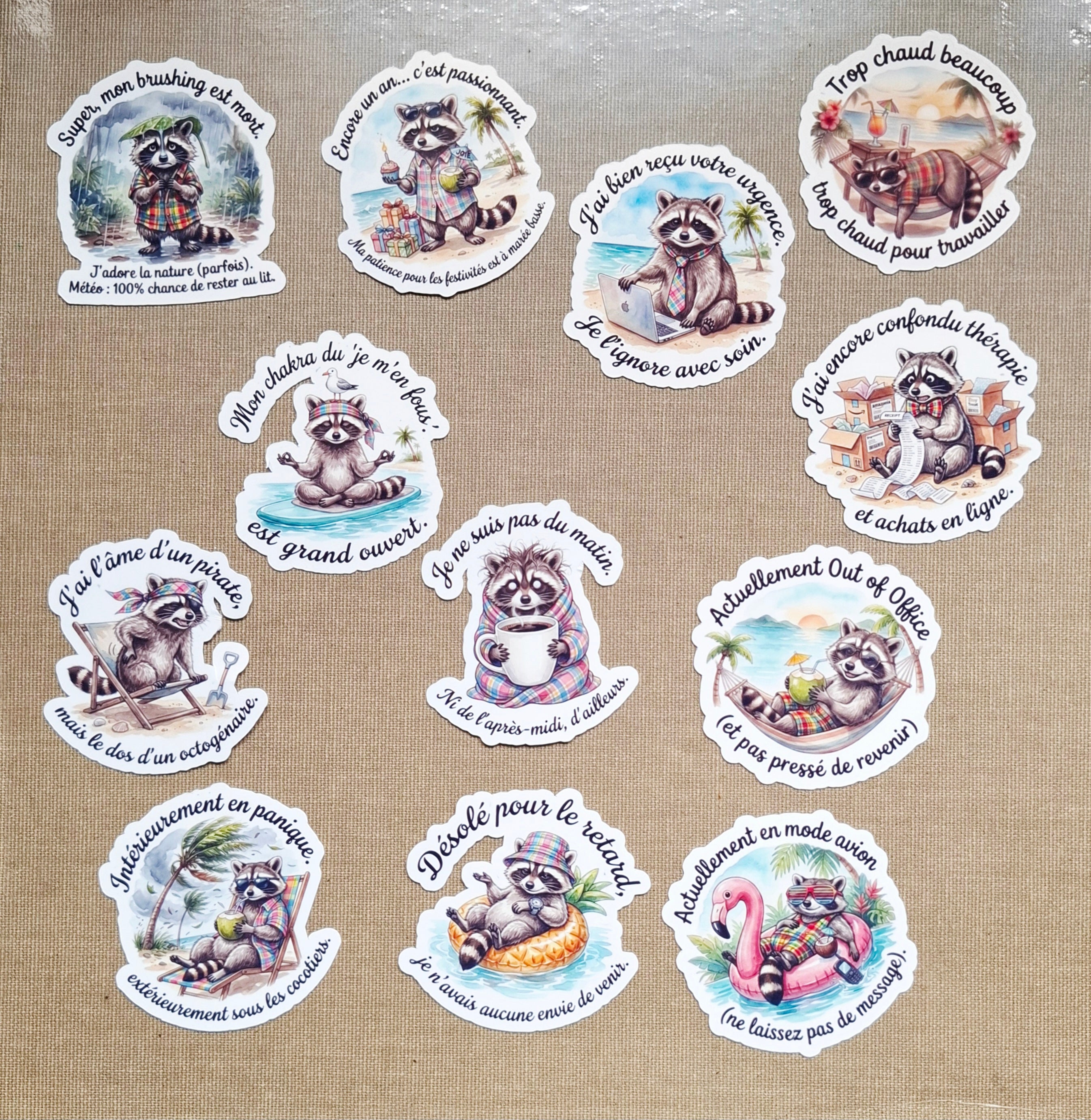 Autocollant Raton Laveur Sarcastique| Sticker Imperméable| Déco Humour PC & Gourde| Touche Madras| Les Aventures de Mr Tchip le Racoon