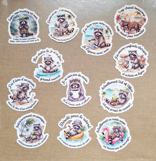 Autocollant Raton Laveur Sarcastique| Sticker Imperméable| Déco Humour PC & Gourde| Touche Madras| Les Aventures de Mr Tchip le Racoon