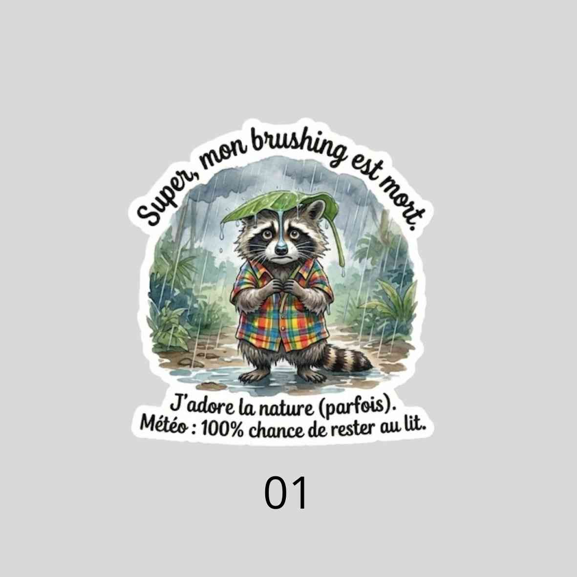 Autocollant Raton Laveur Sarcastique| Sticker Imperméable| Déco Humour PC & Gourde| Touche Madras| Les Aventures de Mr Tchip le Racoon