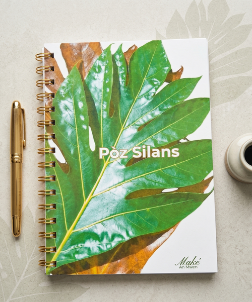 Carnet Pòz Silans