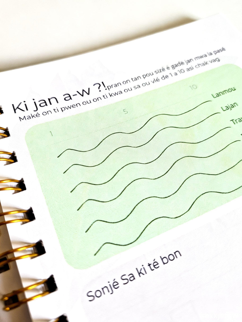Carnet Pòz Silans